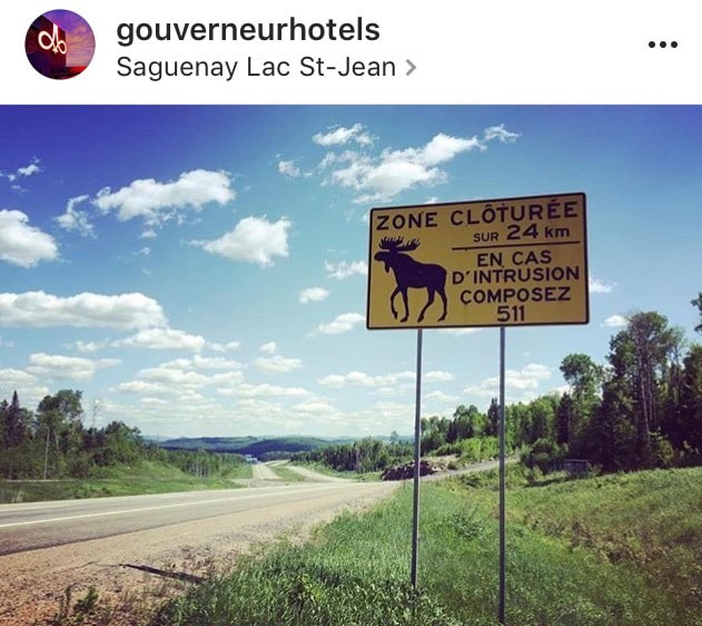 gouverneurhotels - Montreal's Instagram Account to Follow - Blogue / Blog – Hôtels Gouverneur