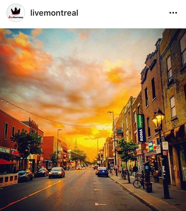 Livemontreal - Montreal's Instagram Account to Follow - Blogue / Blog – Hôtels Gouverneur