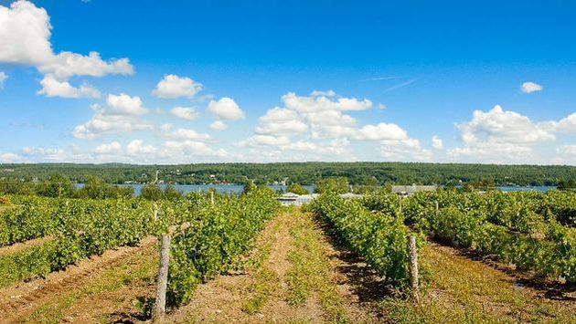 Vignoble Le Cep d'argent - Ten of Quebec’s Most Beautiful Vineyards - Blogue / Blog – Hôtels Gouverneur