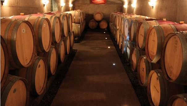 Vignoble Chêne Winery - Ten of Quebec’s Most Beautiful Vineyards - Blogue / Blog – Hôtels Gouverneur