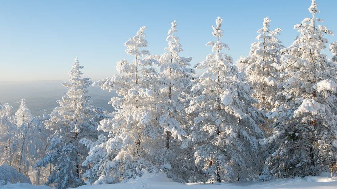 7 Activities to Do this Winter – Explore National Parks - Blogue / Blog – Hôtels Gouverneur