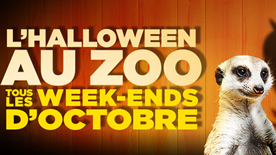Granby Zoo - Top 10 Halloween Activities – Blogue / Blog – Hôtels Gouverneur